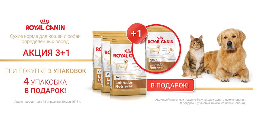 Акция «Ценная забота о бесценном друге» - Royal Canin